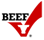 Beef Recipes